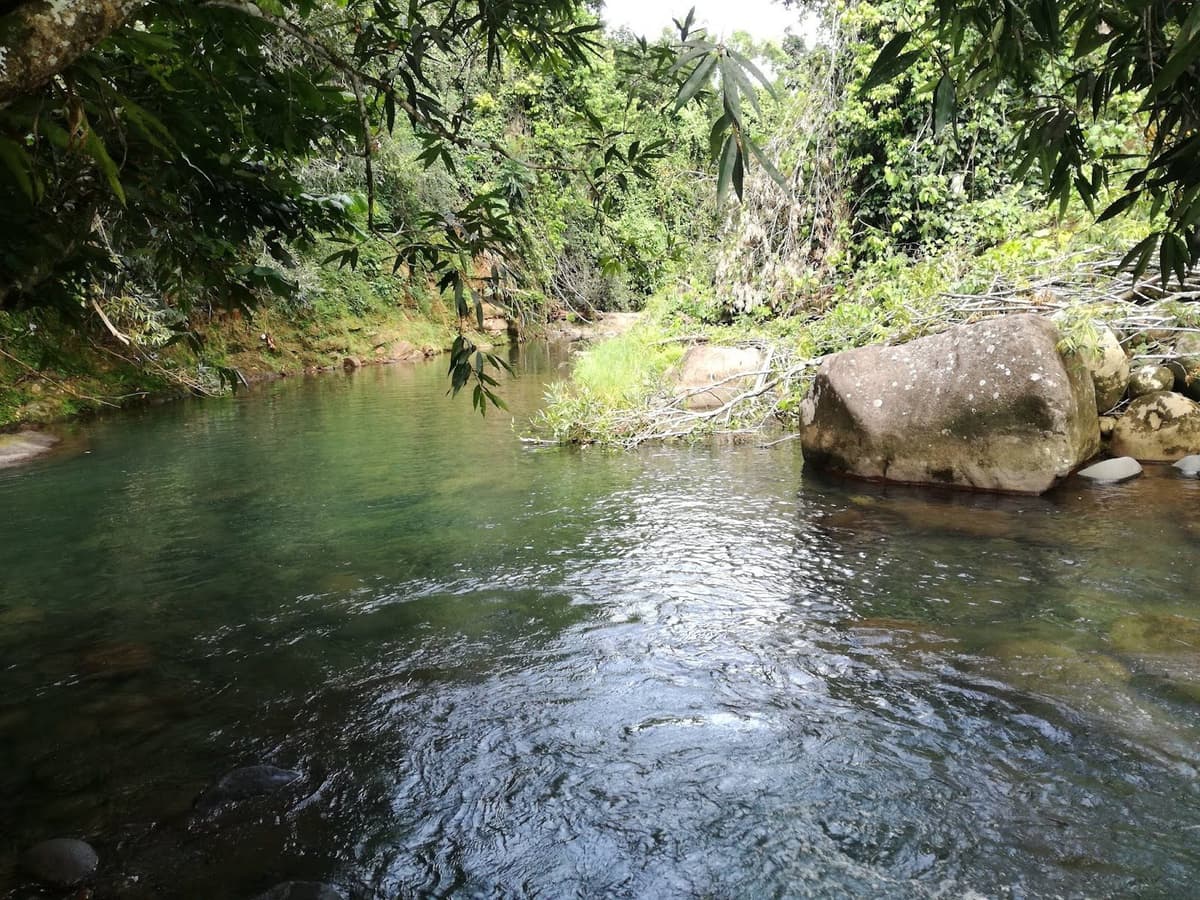 Petite Rivière