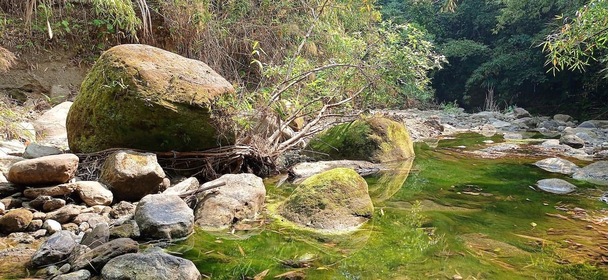 Rivière du Baillif