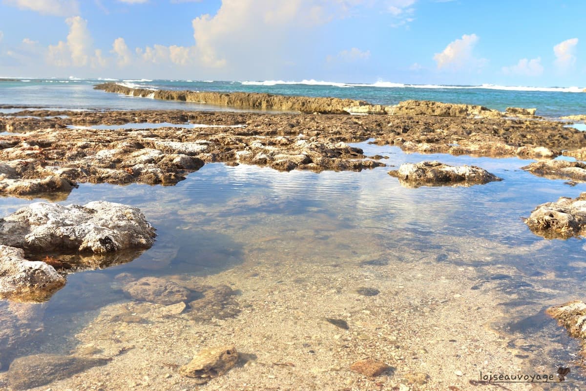 Plage grande anse des salines