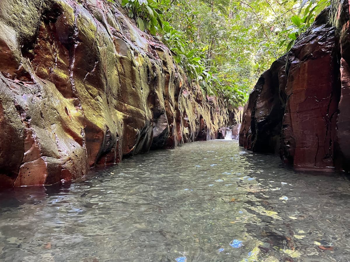 Rivière Moustique (Petit-Bourg)