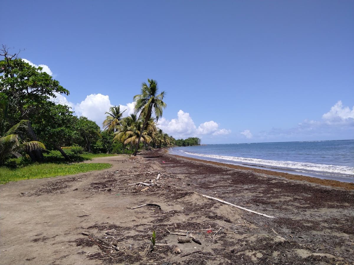 Plage de ST Claire