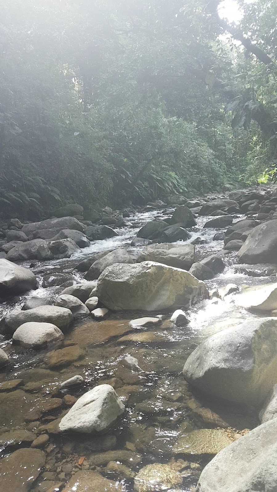 Rivière Bras-David