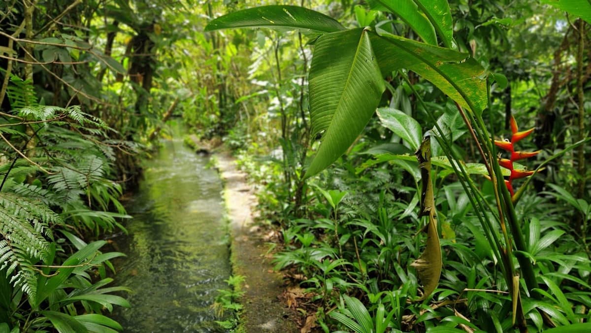 Canal Lepelletier