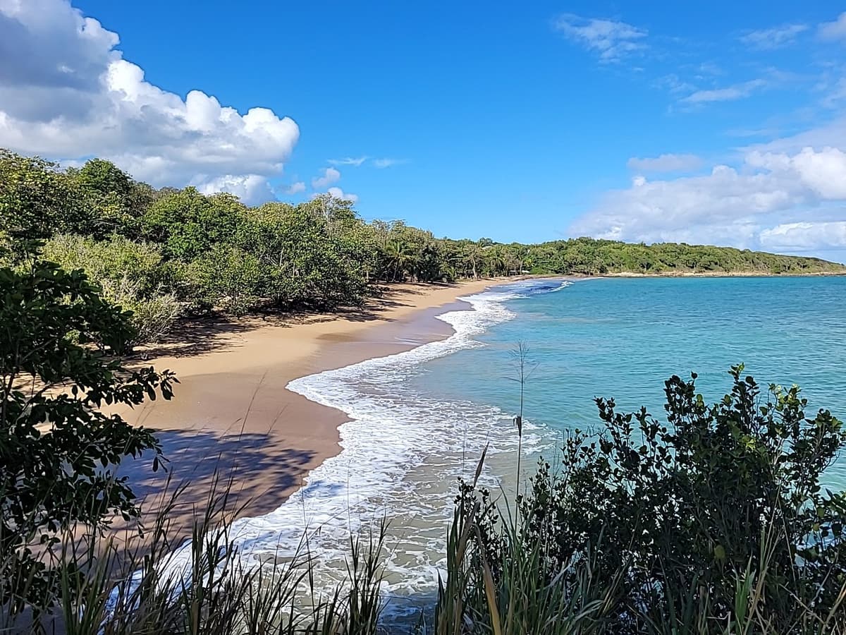 Plage des Amandiers