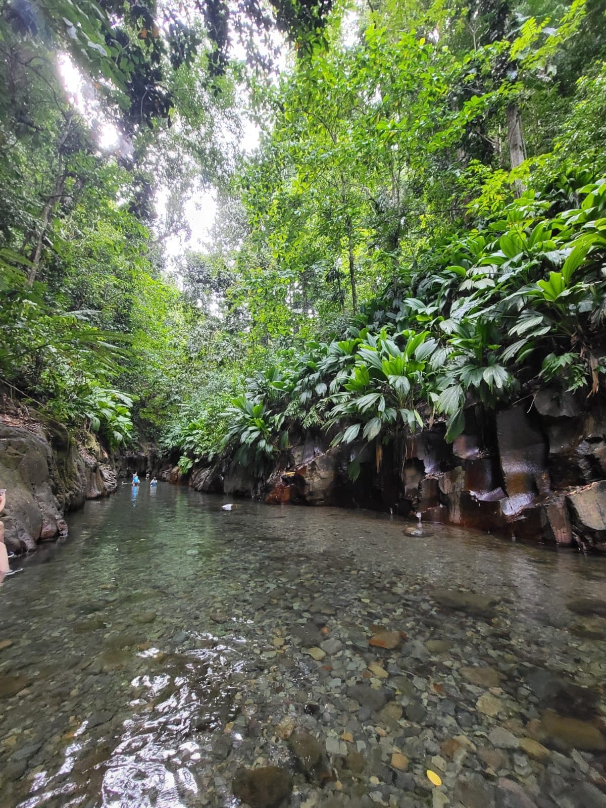 Rivière Moustique (Sainte-Rose)