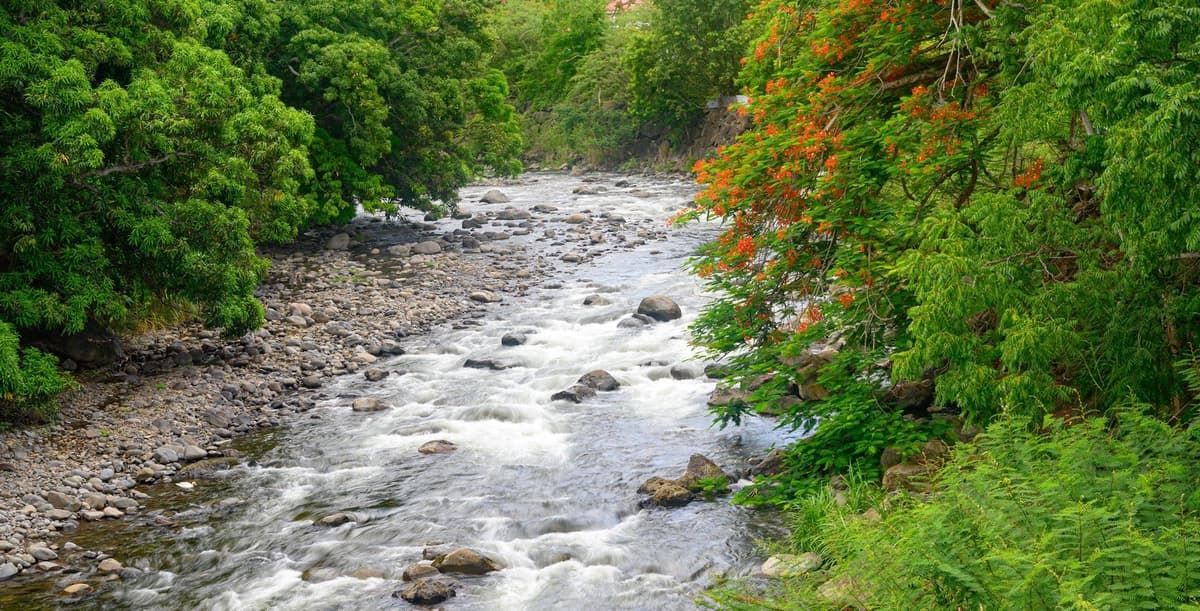 Grande Rivière des Vieux-Habitants