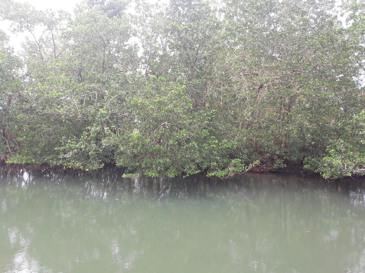 Canal de Perrin