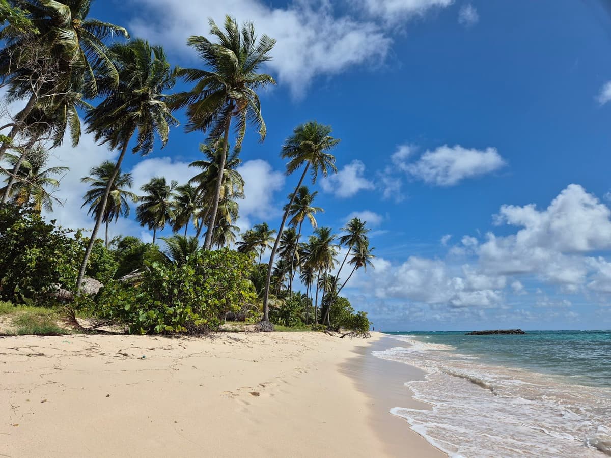Plage de la Feuillère