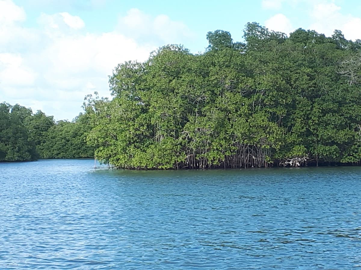 Ravine Salée