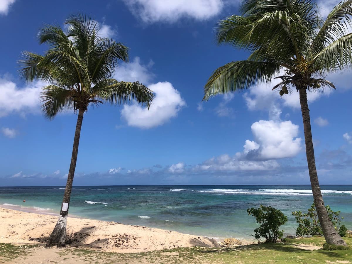 Plage de L'Anse Bertrand