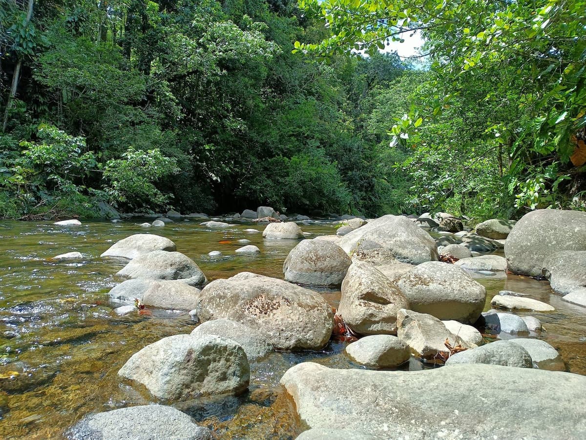 Rivière Corossol