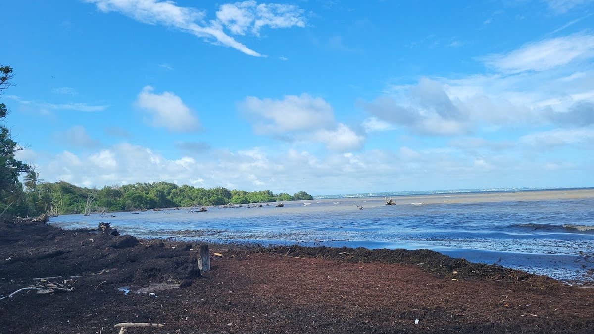 Plage de Viard