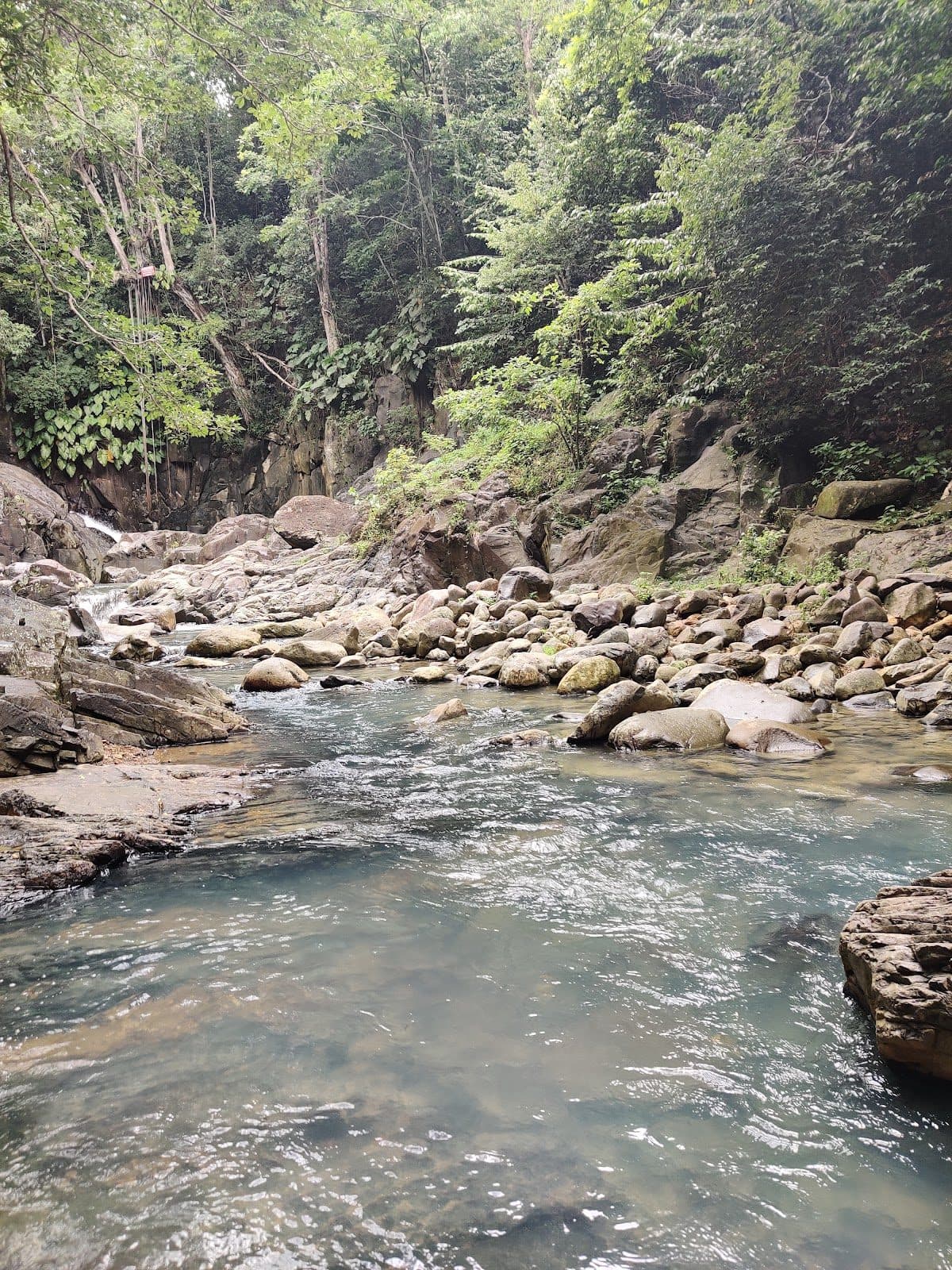 Rivière d'Audoin